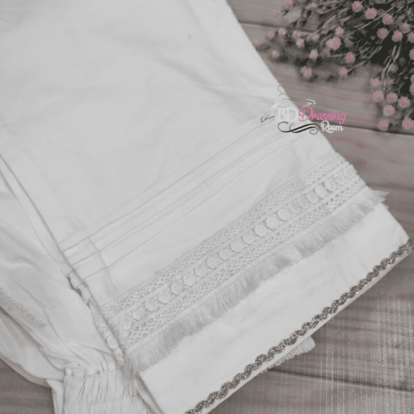 Ladies Pant [লেডিস্ প্যান্ট ]